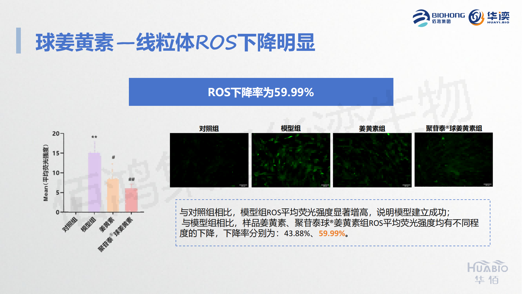 1739169678119434.png 聚苷泰®球姜黄素_10(1).png